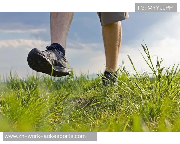 猪猪爱足球的奇妙旅程:从草地到球场的欢笑与成长 猪猪爱足球的奇妙旅程:从草地到球场的欢笑与成长